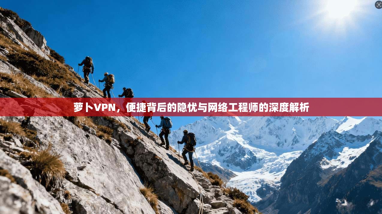 萝卜VPN，便捷背后的隐忧与网络工程师的深度解析