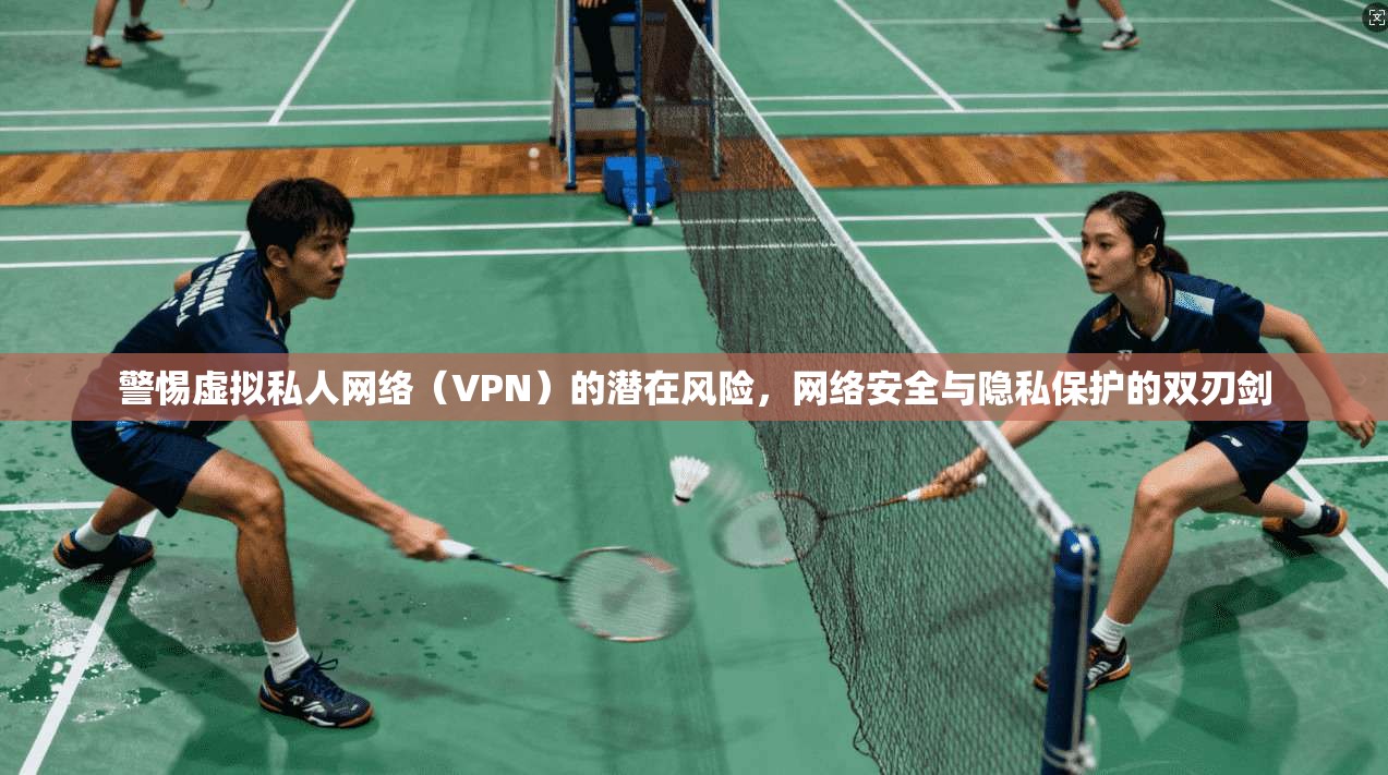 警惕虚拟私人网络（VPN）的潜在风险，网络安全与隐私保护的双刃剑