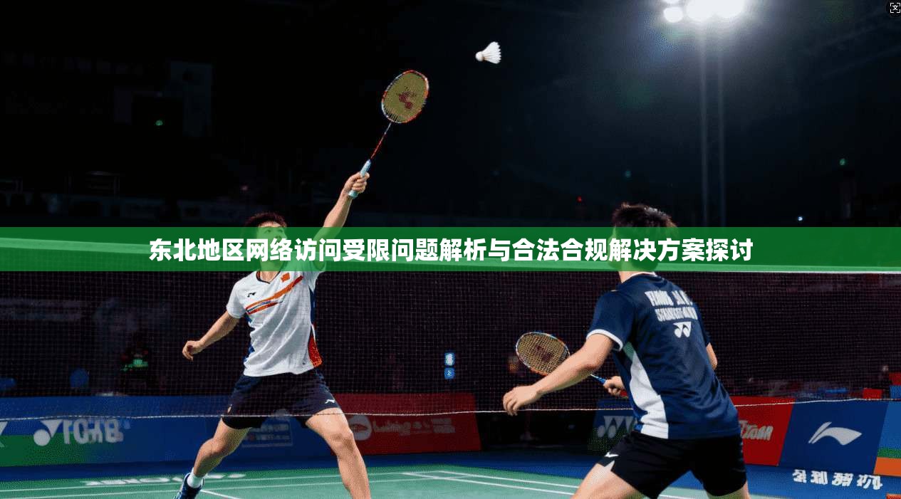 东北地区网络访问受限问题解析与合法合规解决方案探讨