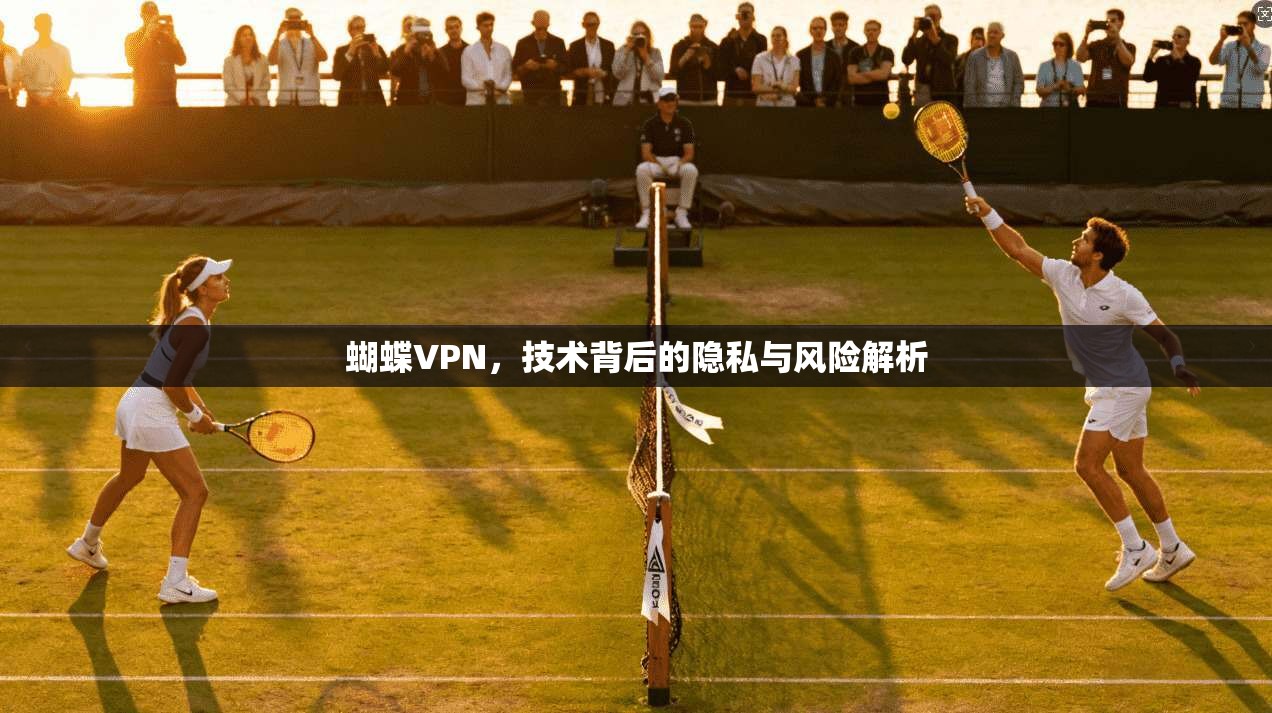 蝴蝶VPN，技术背后的隐私与风险解析