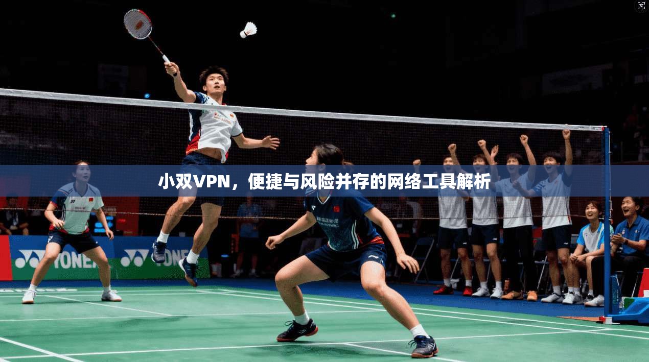 小双VPN，便捷与风险并存的网络工具解析