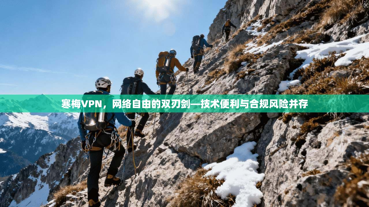 寒梅VPN，网络自由的双刃剑—技术便利与合规风险并存