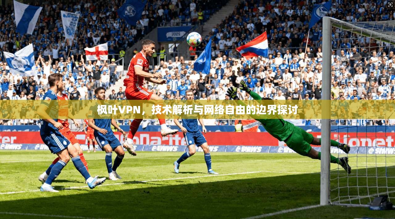 枫叶VPN，技术解析与网络自由的边界探讨