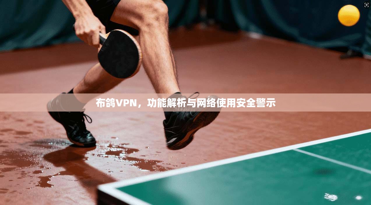 布鸽VPN，功能解析与网络使用安全警示