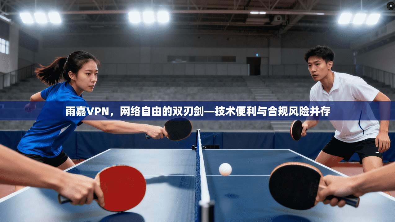 雨嘉VPN，网络自由的双刃剑—技术便利与合规风险并存
