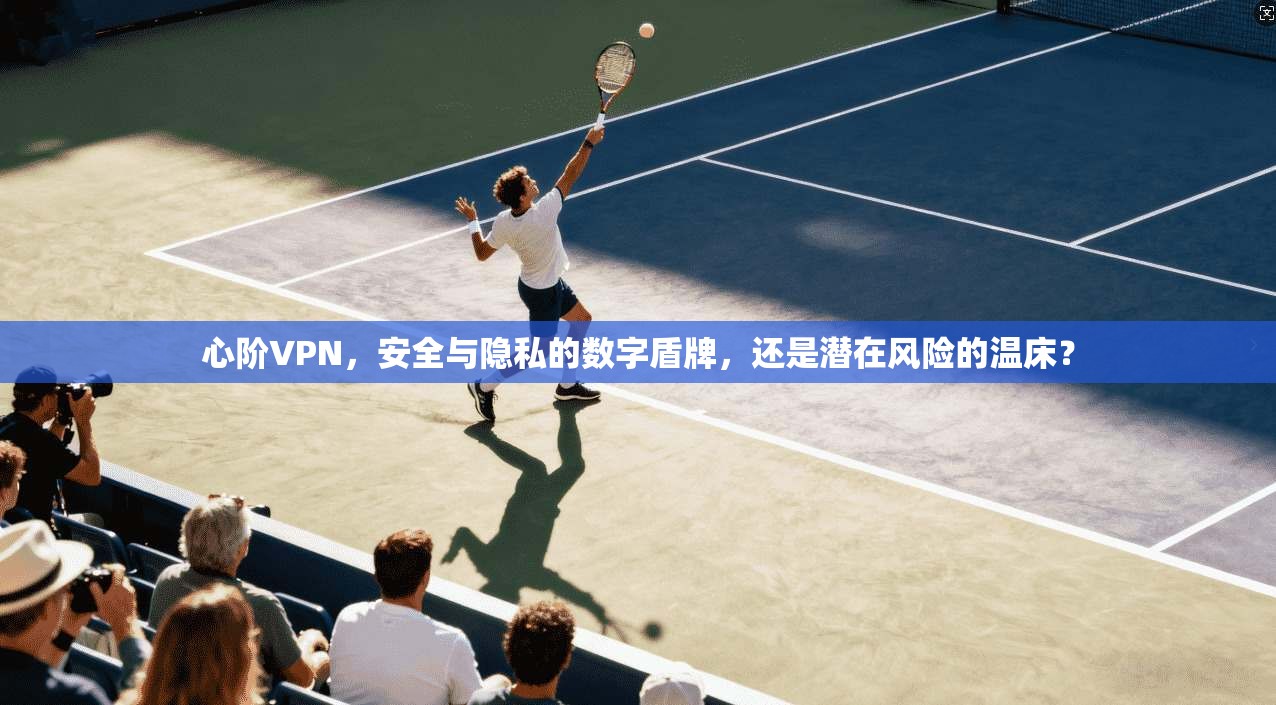 心阶VPN，安全与隐私的数字盾牌，还是潜在风险的温床？