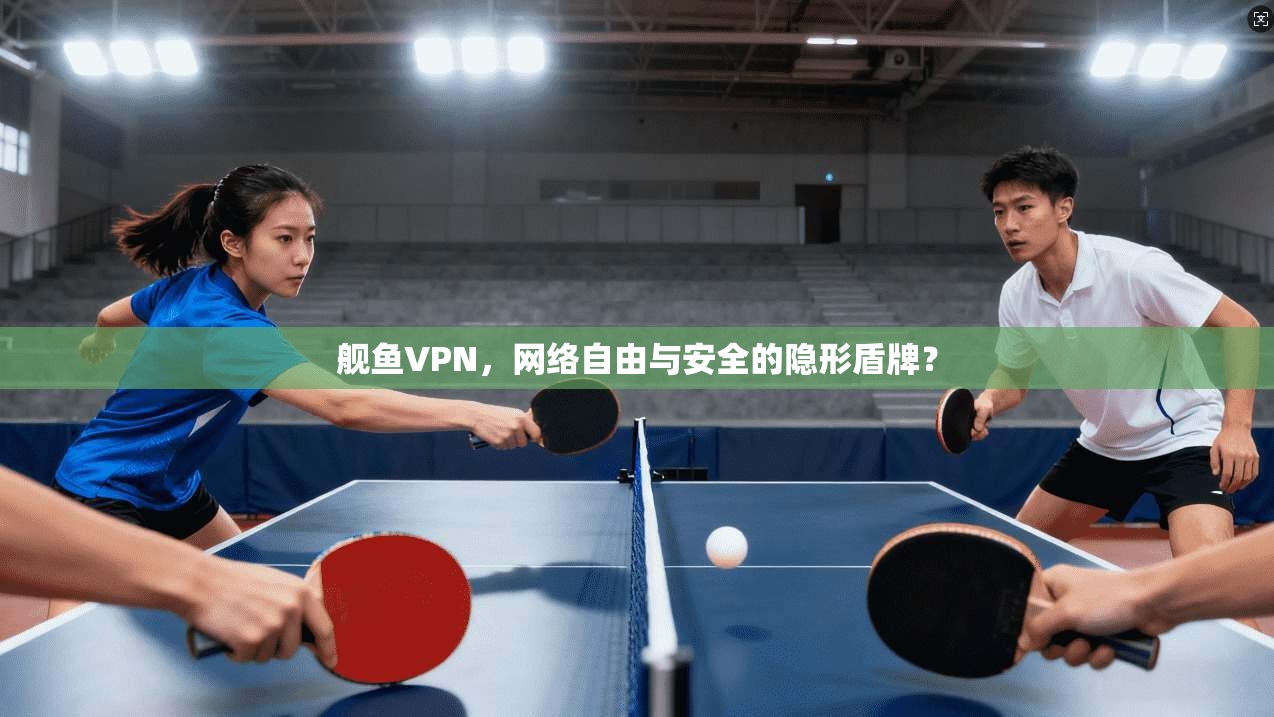 舰鱼VPN，网络自由与安全的隐形盾牌？