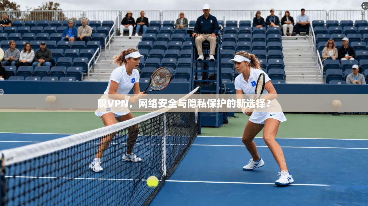 舰VPN，网络安全与隐私保护的新选择？