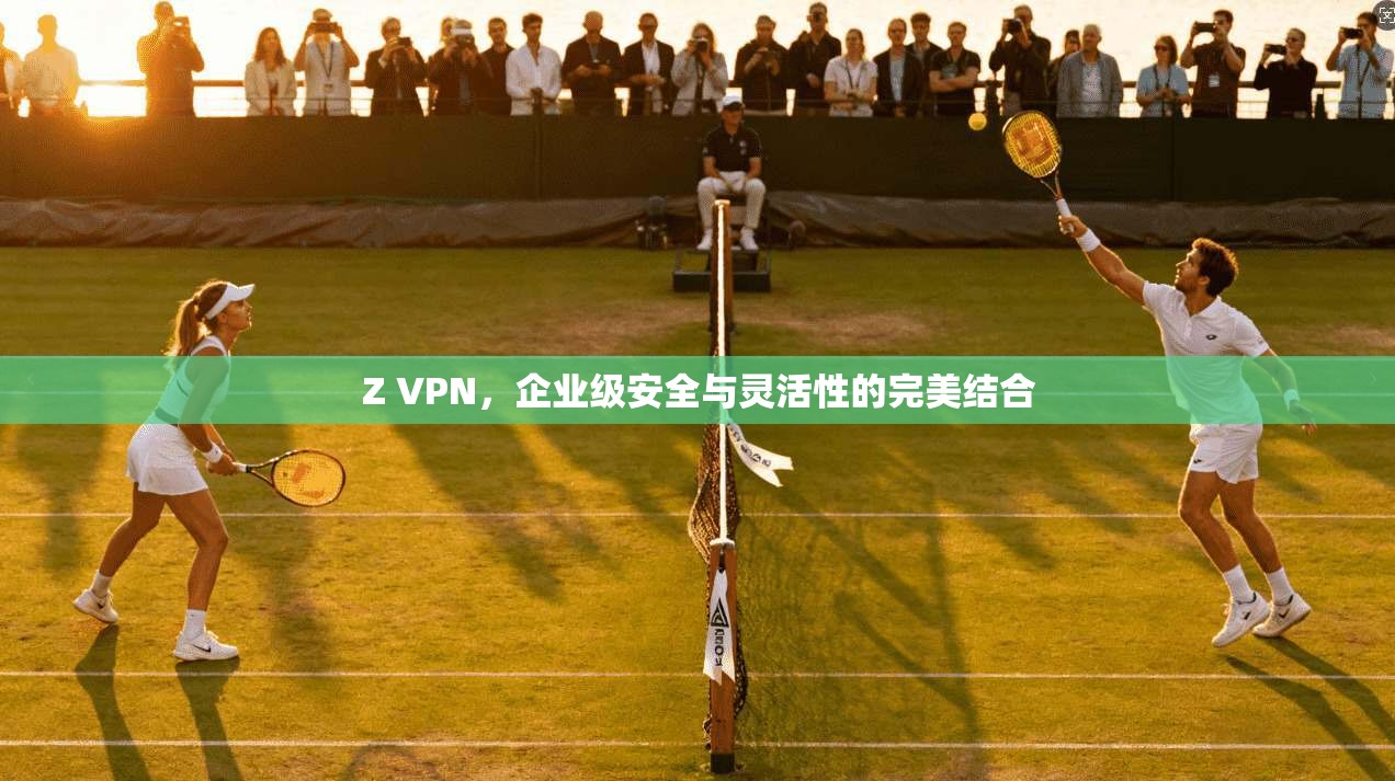 Z VPN，企业级安全与灵活性的完美结合