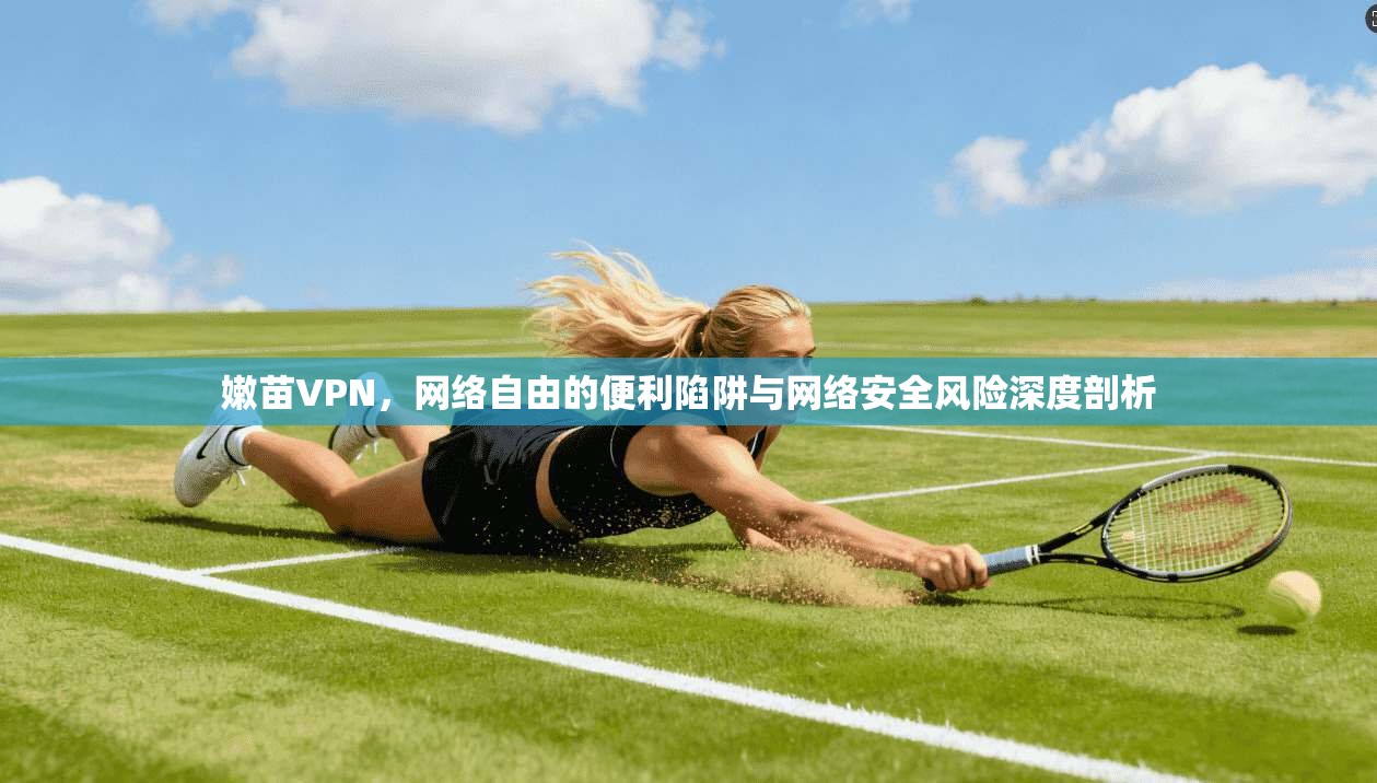 嫩苗VPN，网络自由的便利陷阱与网络安全风险深度剖析