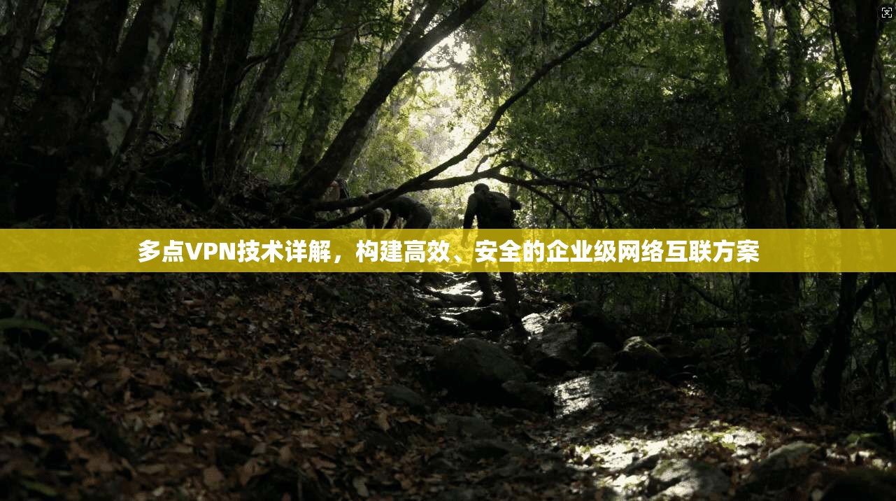 多点VPN技术详解，构建高效、安全的企业级网络互联方案