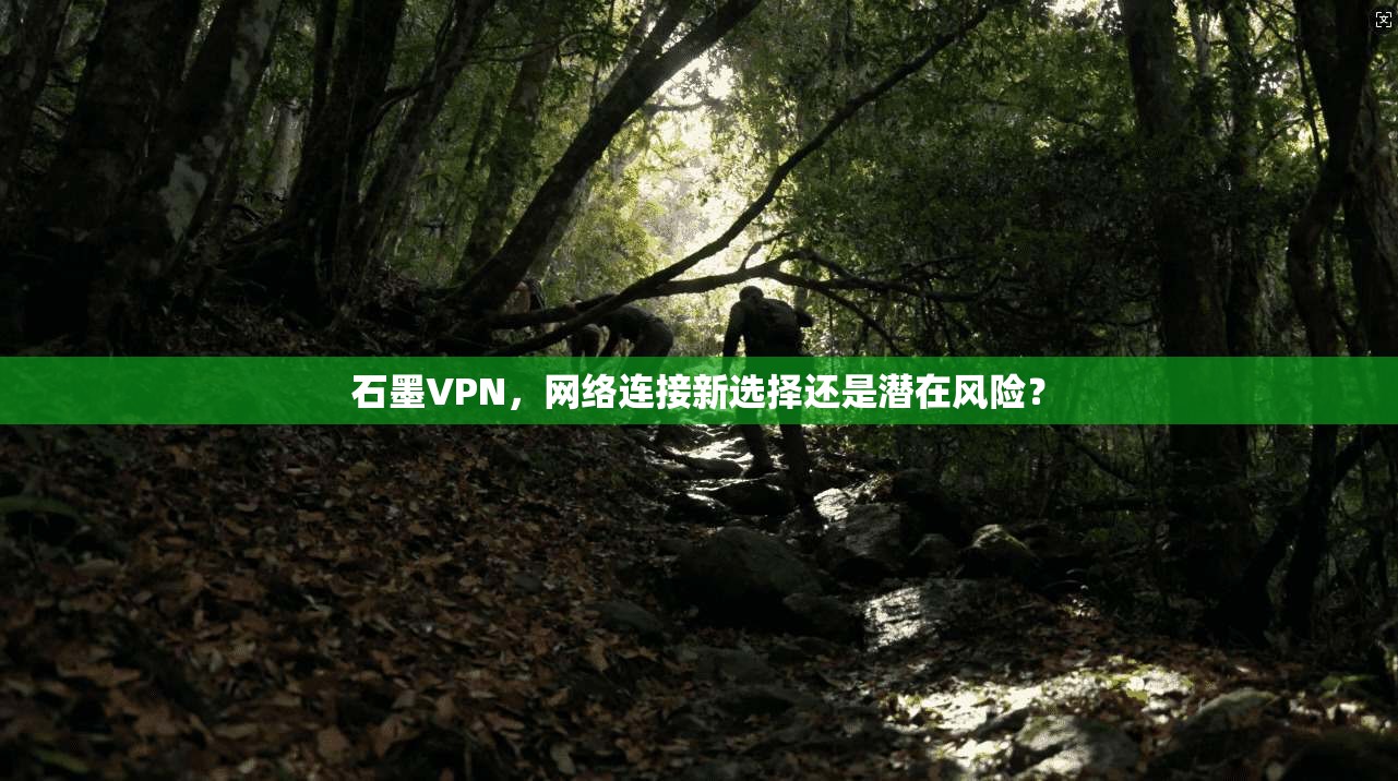 石墨VPN，网络连接新选择还是潜在风险？