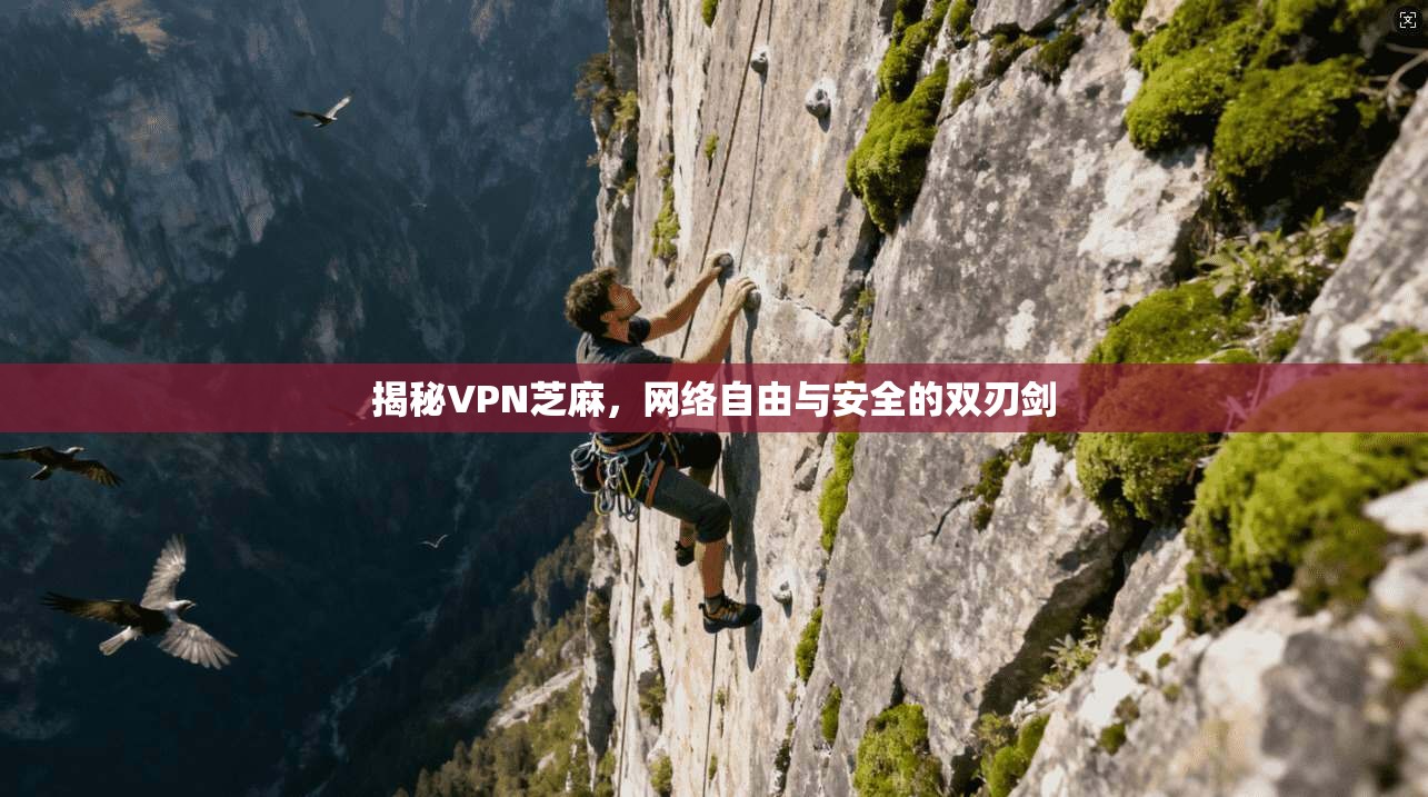 揭秘VPN芝麻，网络自由与安全的双刃剑