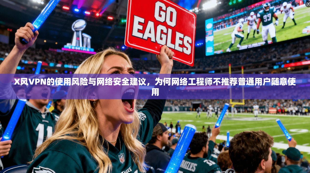 X风VPN的使用风险与网络安全建议，为何网络工程师不推荐普通用户随意使用