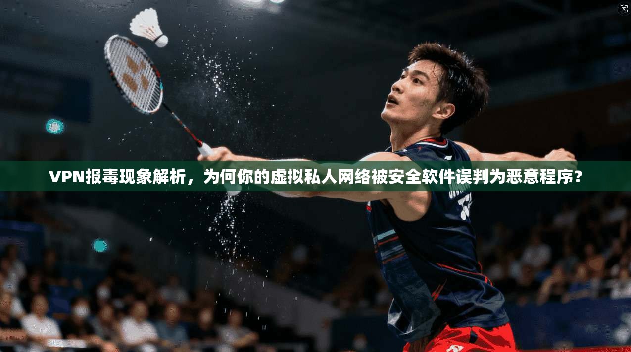 VPN报毒现象解析，为何你的虚拟私人网络被安全软件误判为恶意程序？