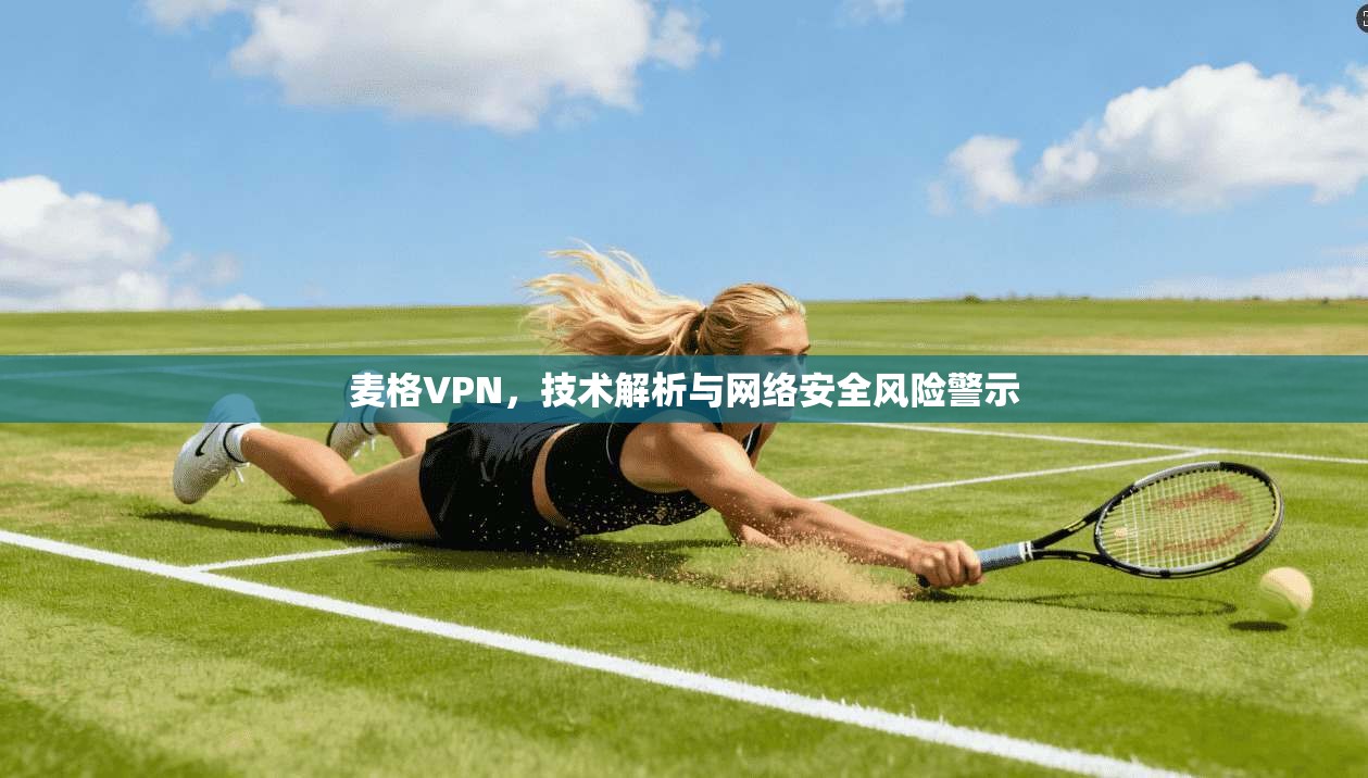 麦格VPN，技术解析与网络安全风险警示