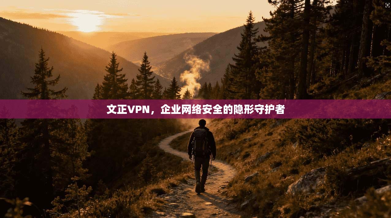文正VPN，企业网络安全的隐形守护者