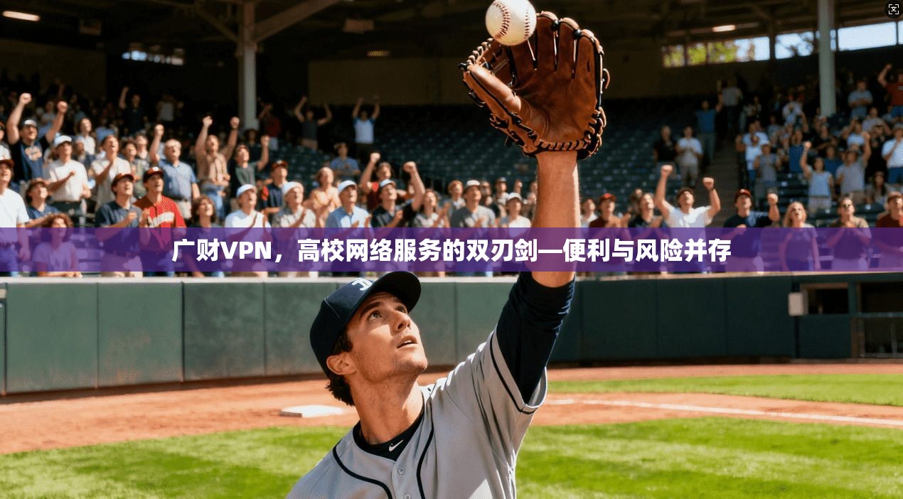 广财VPN，高校网络服务的双刃剑—便利与风险并存