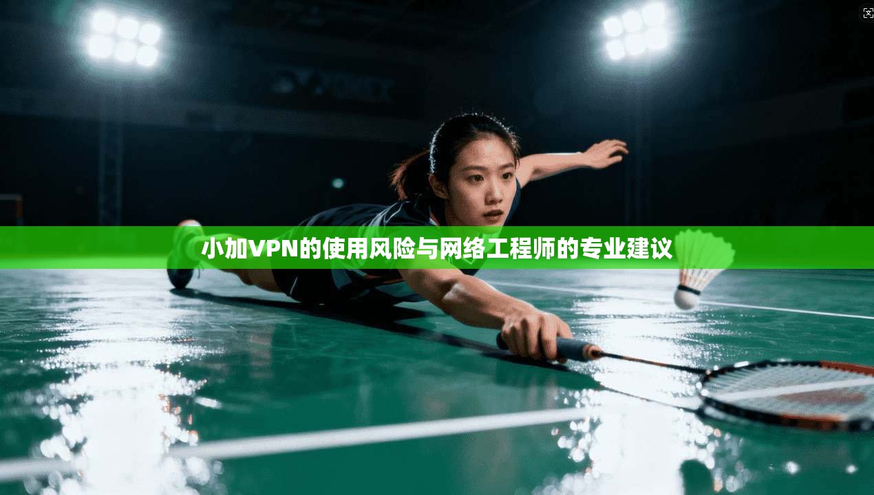 小加VPN的使用风险与网络工程师的专业建议