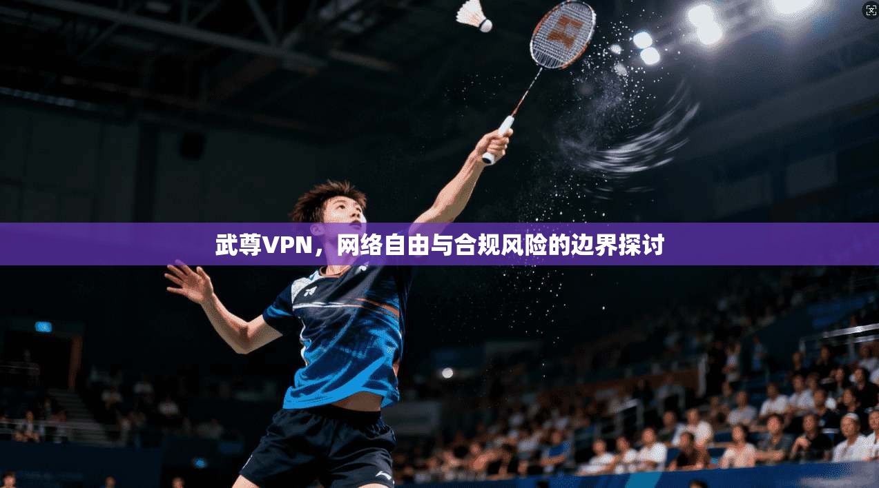 武尊VPN，网络自由与合规风险的边界探讨