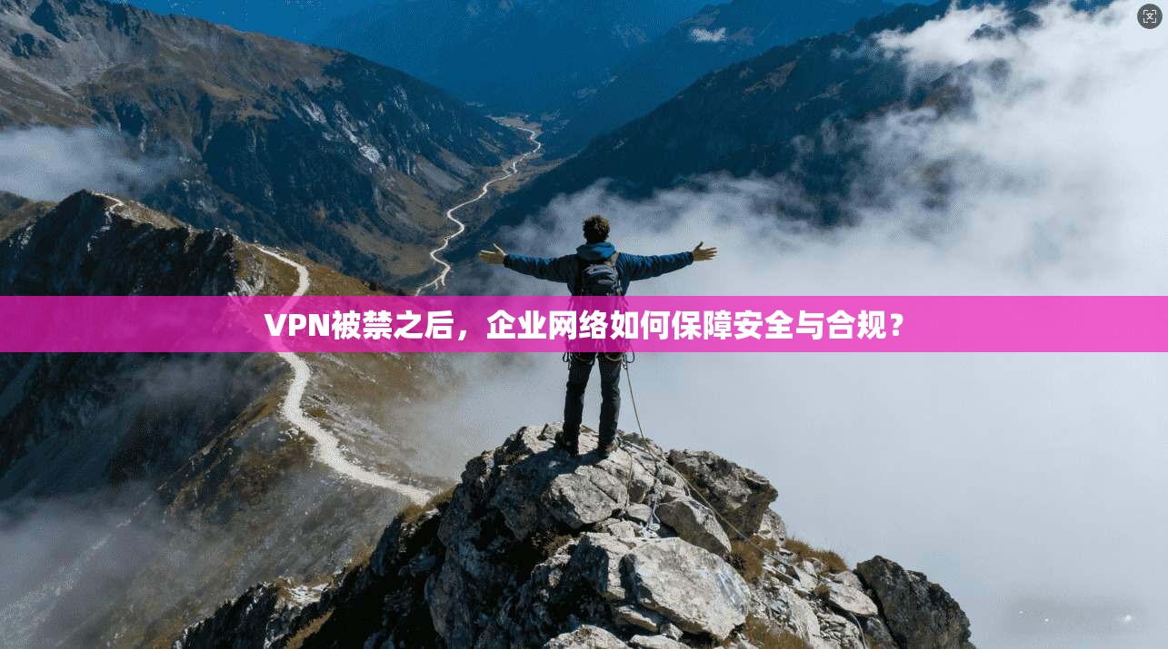 VPN被禁之后，企业网络如何保障安全与合规？