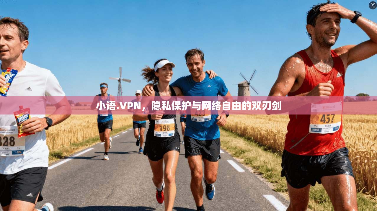 小语.VPN，隐私保护与网络自由的双刃剑