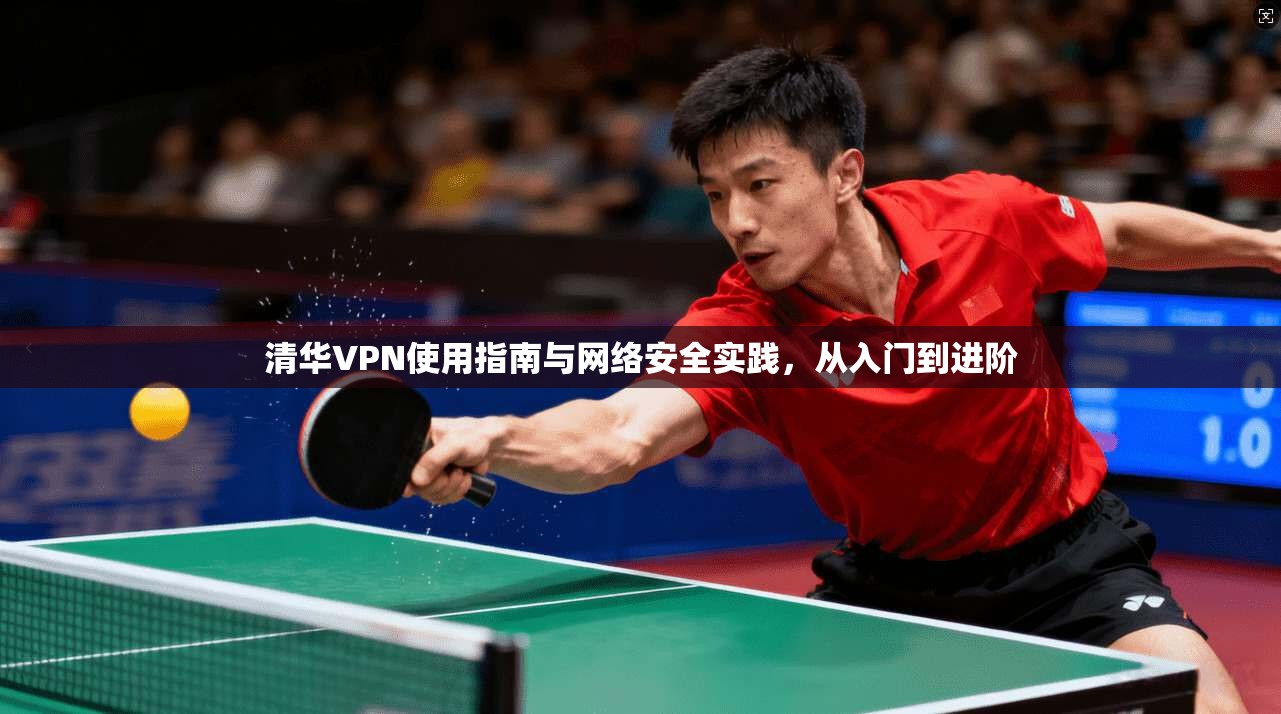 清华VPN使用指南与网络安全实践，从入门到进阶