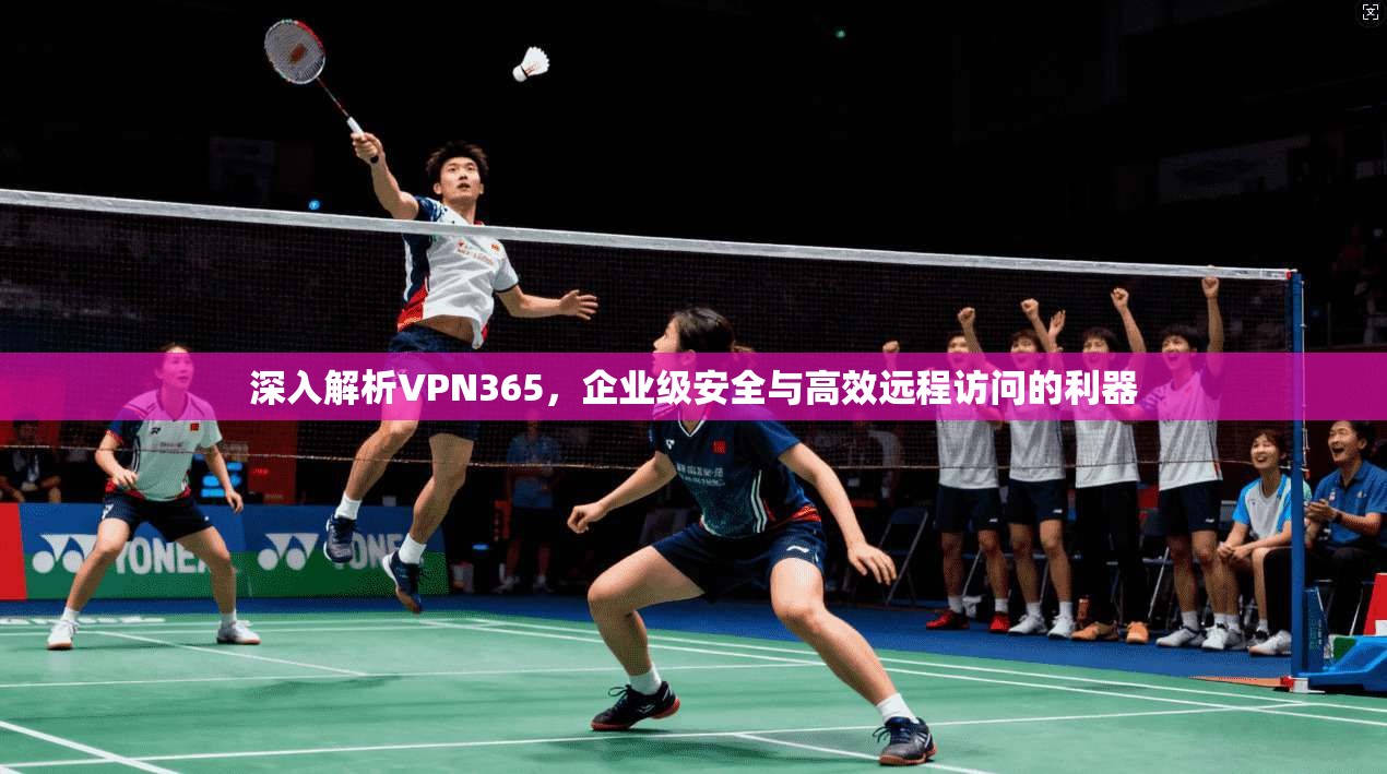 深入解析VPN365，企业级安全与高效远程访问的利器
