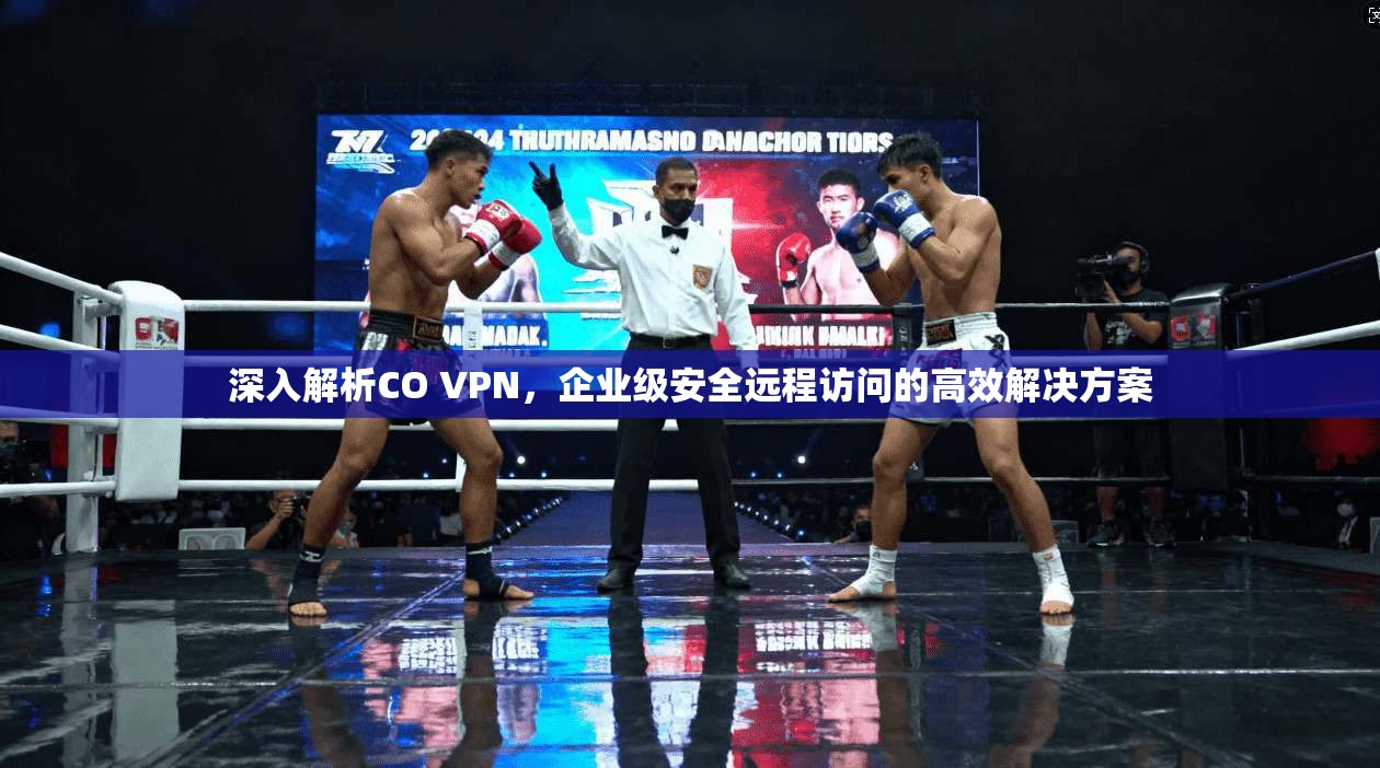 深入解析CO VPN,企业级安全远程访问的高效解决方案