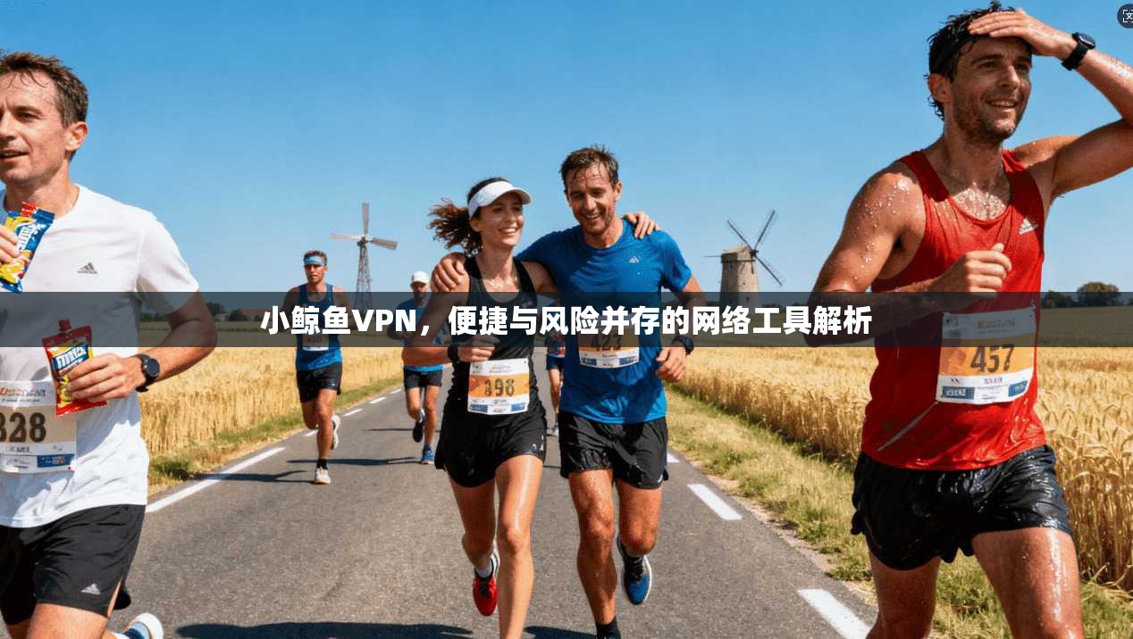 小鲸鱼VPN，便捷与风险并存的网络工具解析