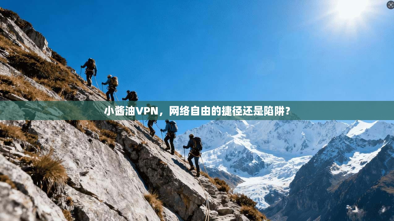小酱油VPN,网络自由的捷径还是陷阱?