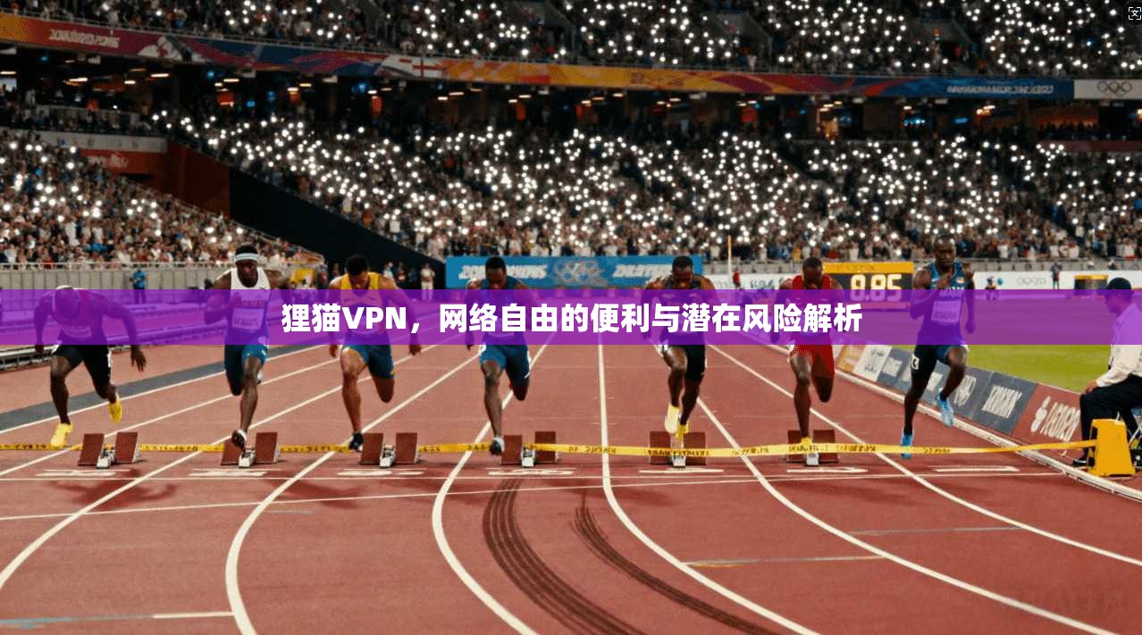 狸猫VPN，网络自由的便利与潜在风险解析