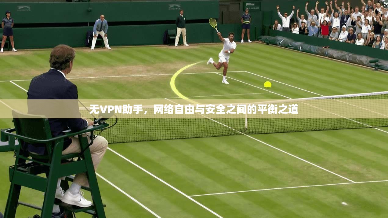 无VPN助手,网络自由与安全之间的平衡之道