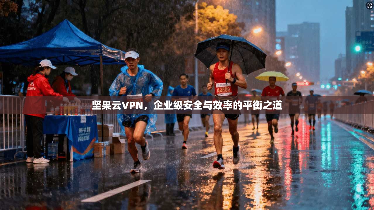 坚果云VPN，企业级安全与效率的平衡之道