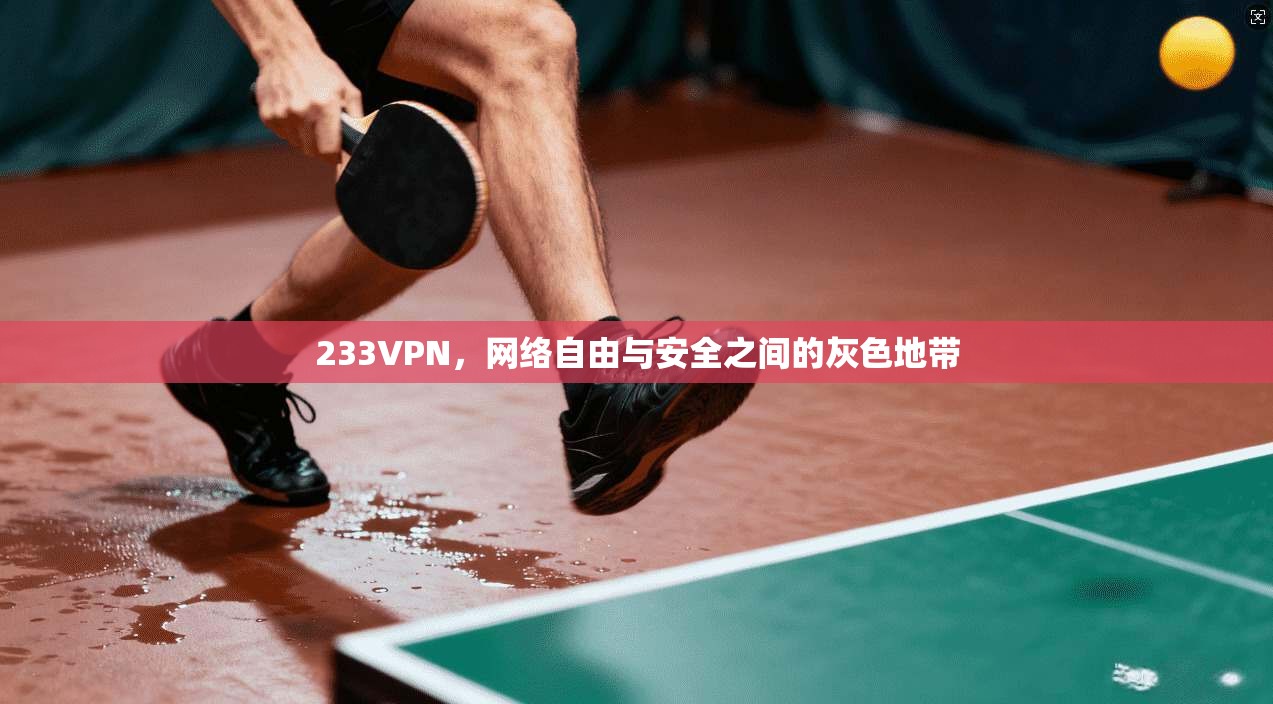 233VPN，网络自由与安全之间的灰色地带