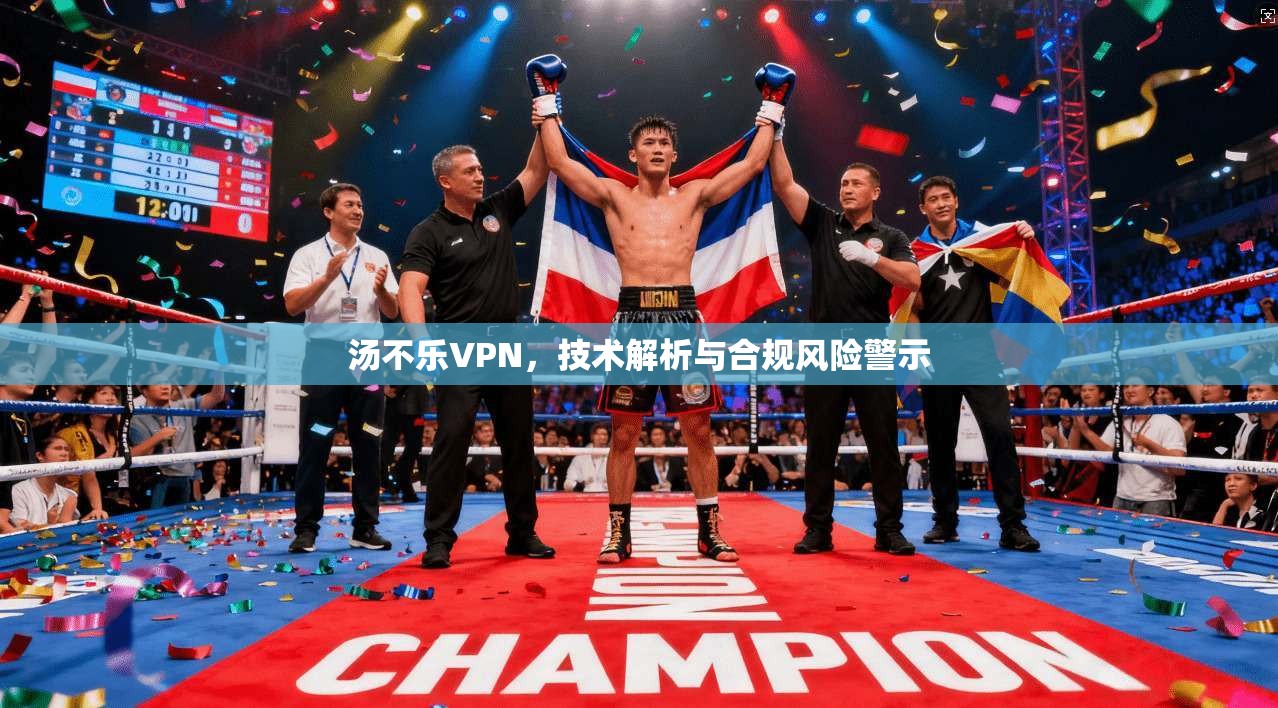 汤不乐VPN，技术解析与合规风险警示