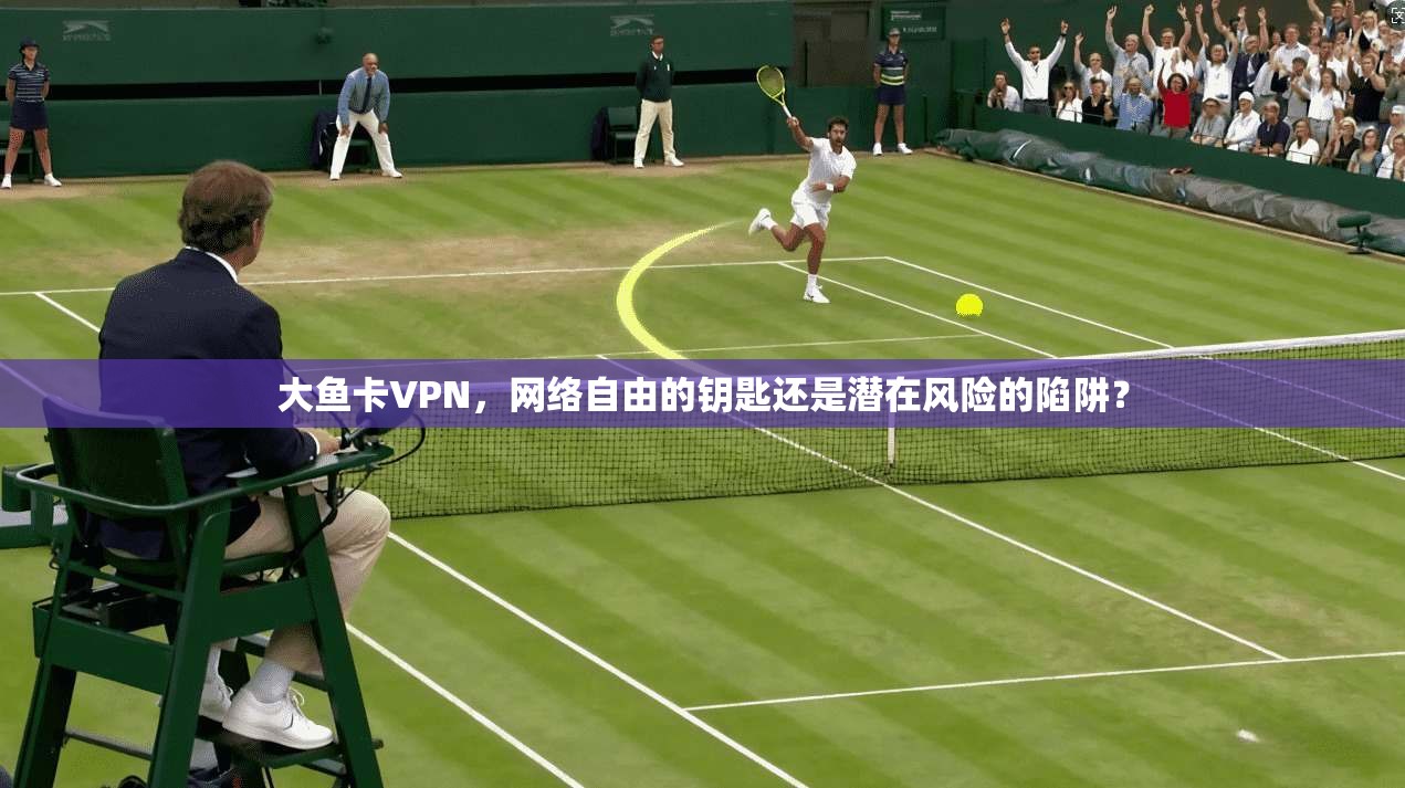 大鱼卡VPN，网络自由的钥匙还是潜在风险的陷阱？