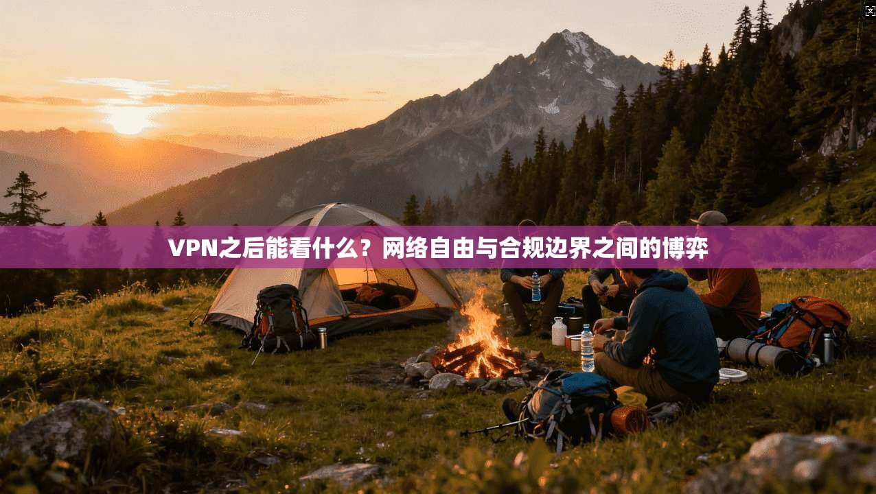 VPN之后能看什么？网络自由与合规边界之间的博弈