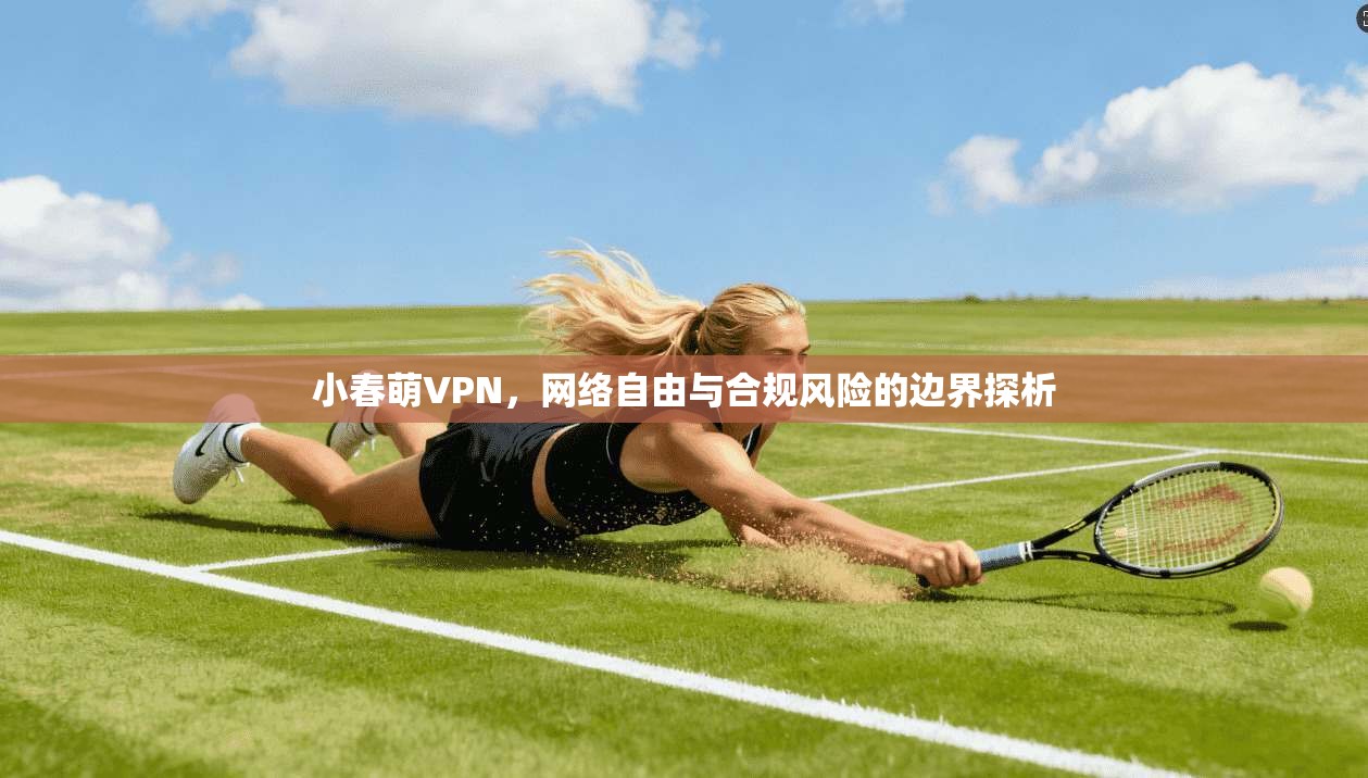 小春萌VPN，网络自由与合规风险的边界探析