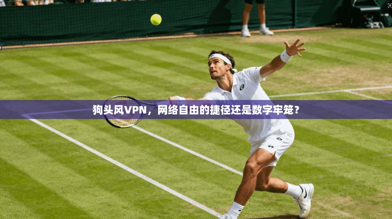 狗头风VPN，网络自由的捷径还是数字牢笼？