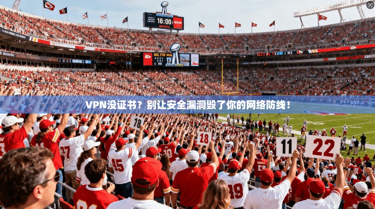 VPN没证书？别让安全漏洞毁了你的网络防线！