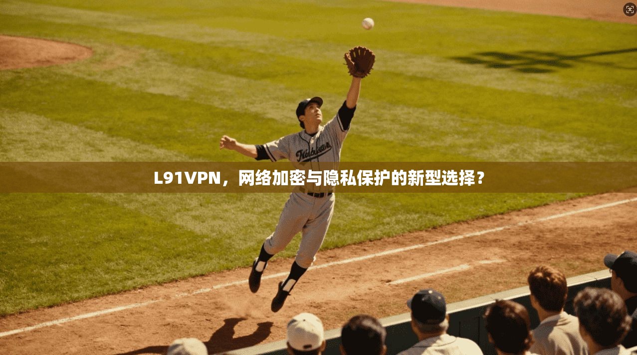 L91VPN，网络加密与隐私保护的新型选择？