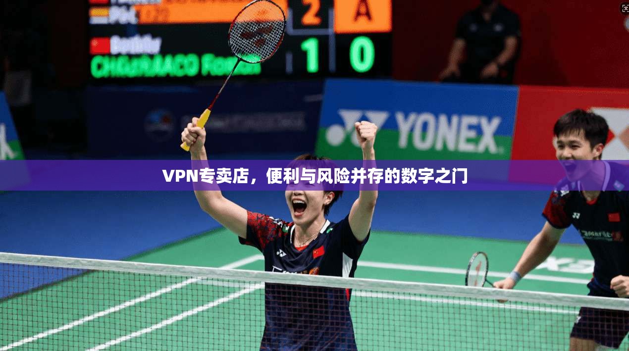 VPN专卖店，便利与风险并存的数字之门