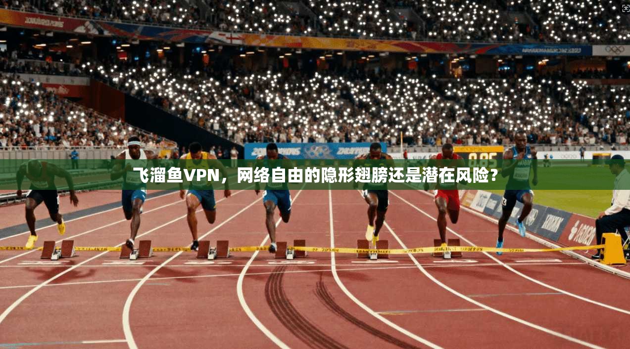 飞溜鱼VPN，网络自由的隐形翅膀还是潜在风险？