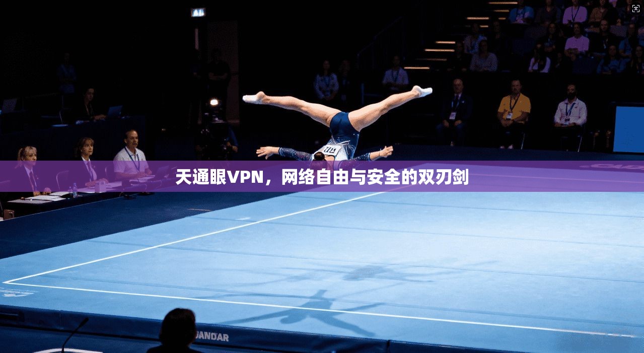 天通眼VPN，网络自由与安全的双刃剑
