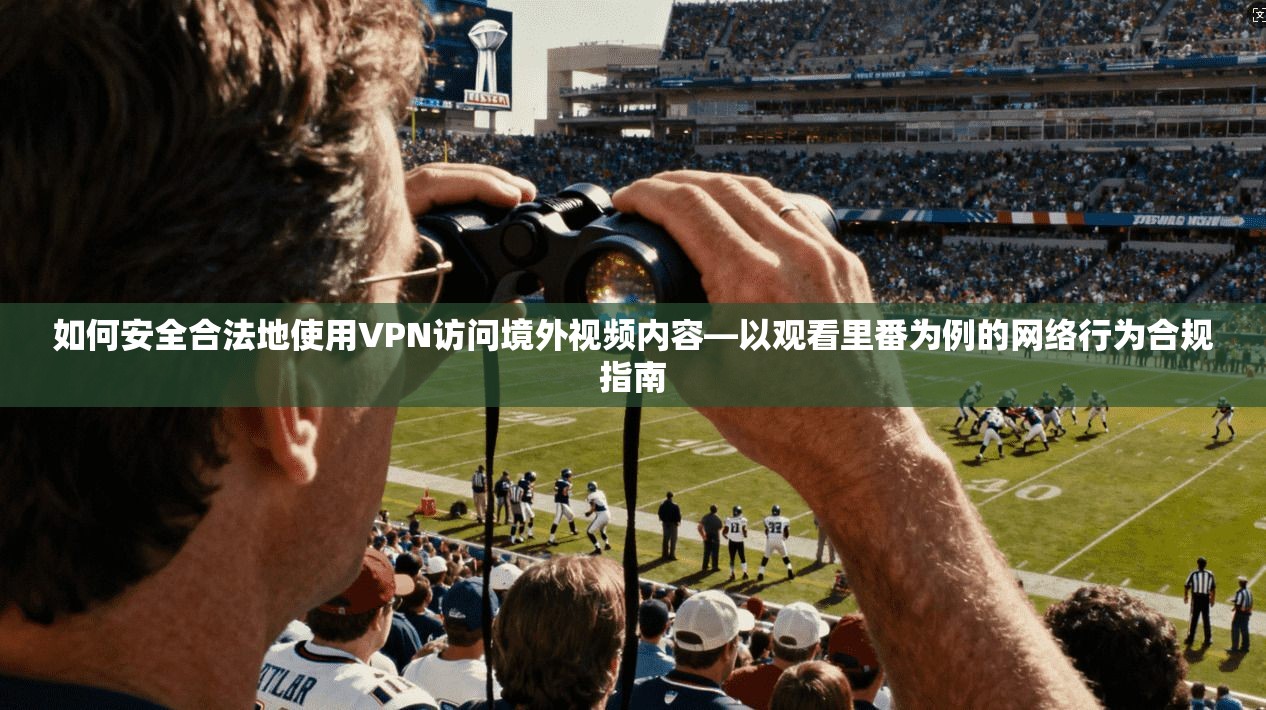 如何安全合法地使用VPN访问境外视频内容—以观看里番为例的网络行为合规指南