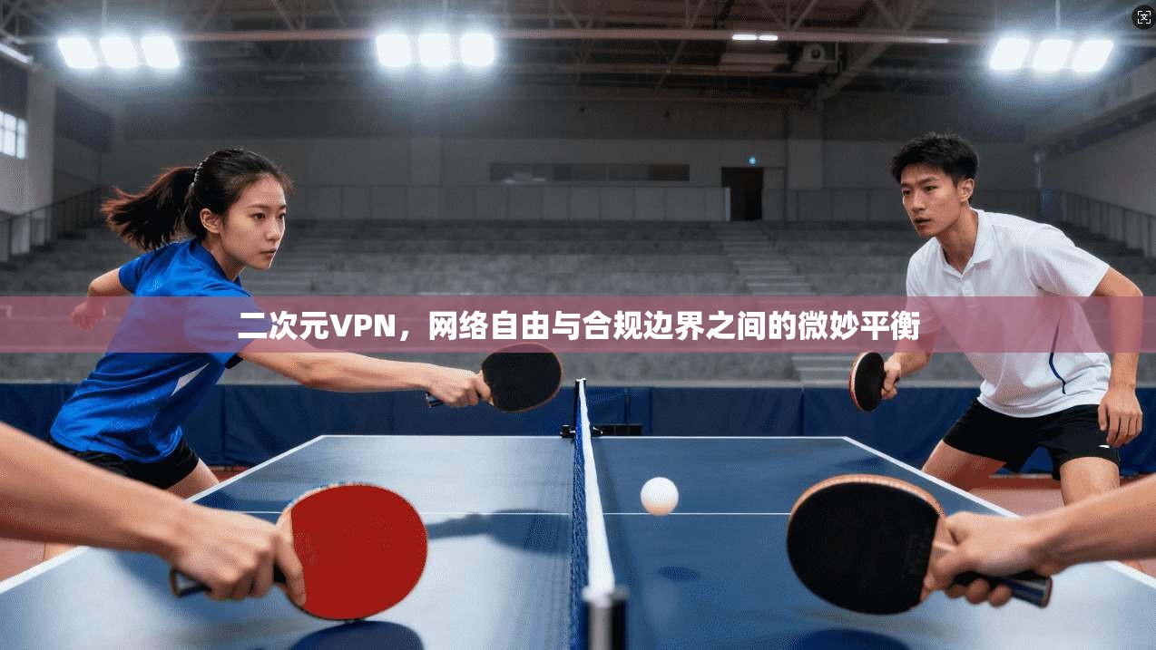 二次元VPN,网络自由与合规边界之间的微妙平衡