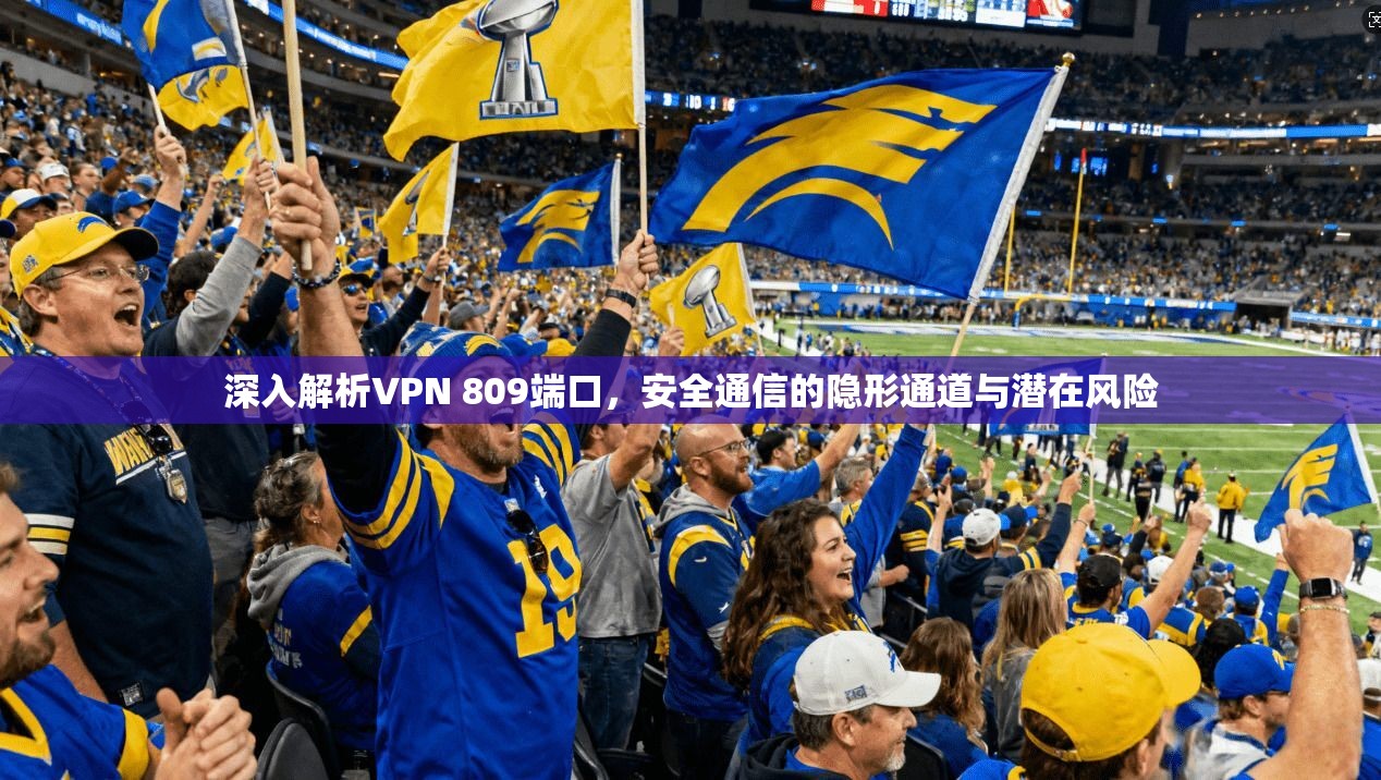 深入解析VPN 809端口，安全通信的隐形通道与潜在风险