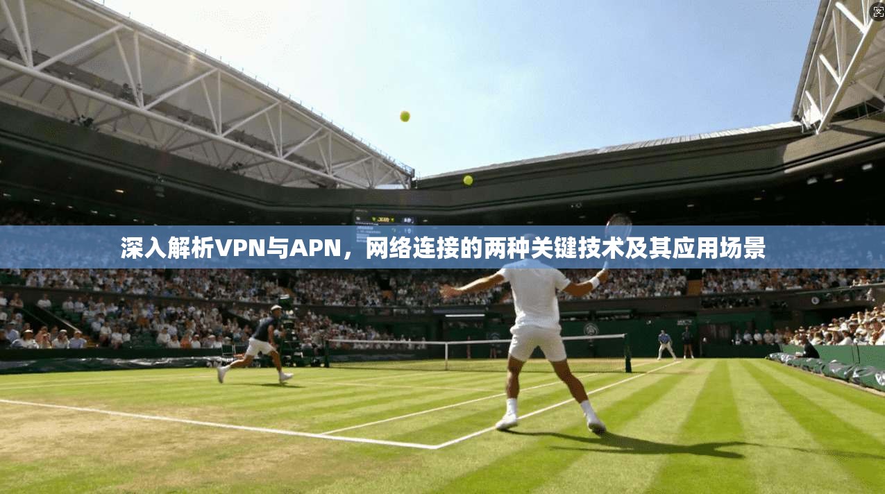 深入解析VPN与APN,网络连接的两种关键技术及其应用场景