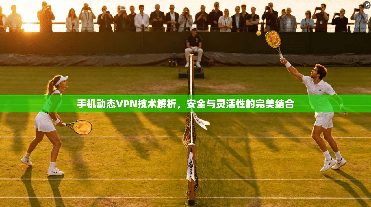 手机动态VPN技术解析，安全与灵活性的完美结合